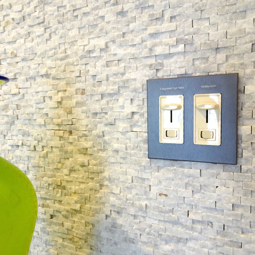 CleanPlate Wall Plate in Designer Gray | rocker switches