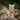 How to Choose Outdoor Pathway Lights That Don't Look Cheap
