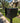 QUICK SHIP Package Locking UpTown Box-2.0 in JET BLACK - Modern Mailbox
