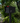 QUICK SHIP UpTown Box-2.0 in TEXTURED MATT JET BLACK on BLACK - Modern Mailbox